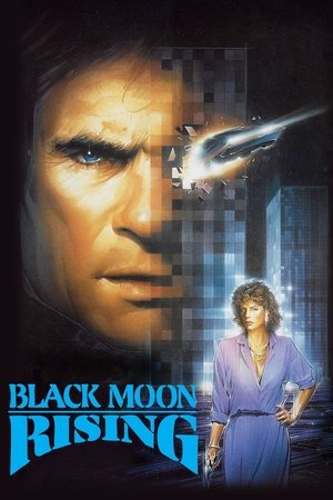 Black Moon Rising (Hindi Dubbed)