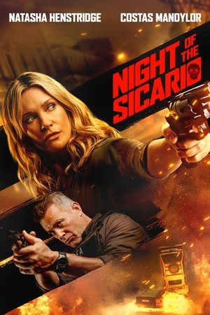 Night of the Sicario (Hindi Dubbed)
