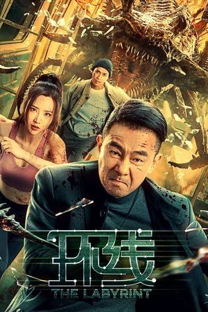 The Labyrinth (Hindi Dubbed)