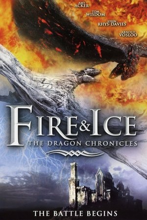 Fire and Ice: The Dragon Chronicles (Hindi Dubbed)