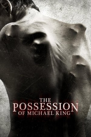 The Possession Experiment (Hindi Dubbed)
