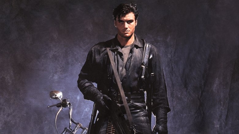 The Punisher (Hindi Dubbed)